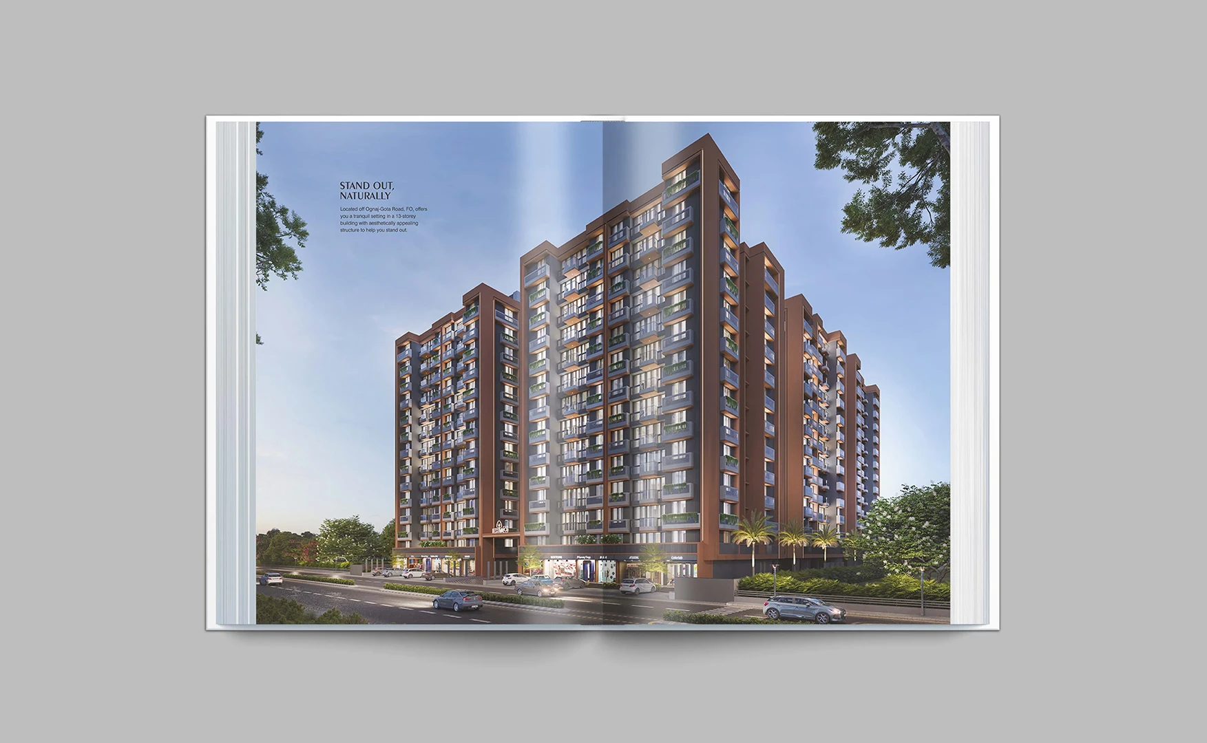 Festival-O2-Brochure-5